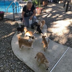 Meet your Posher, Debbie